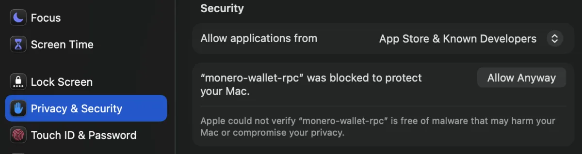 System Settings Privacy and Security screen with an Allow Anyway button