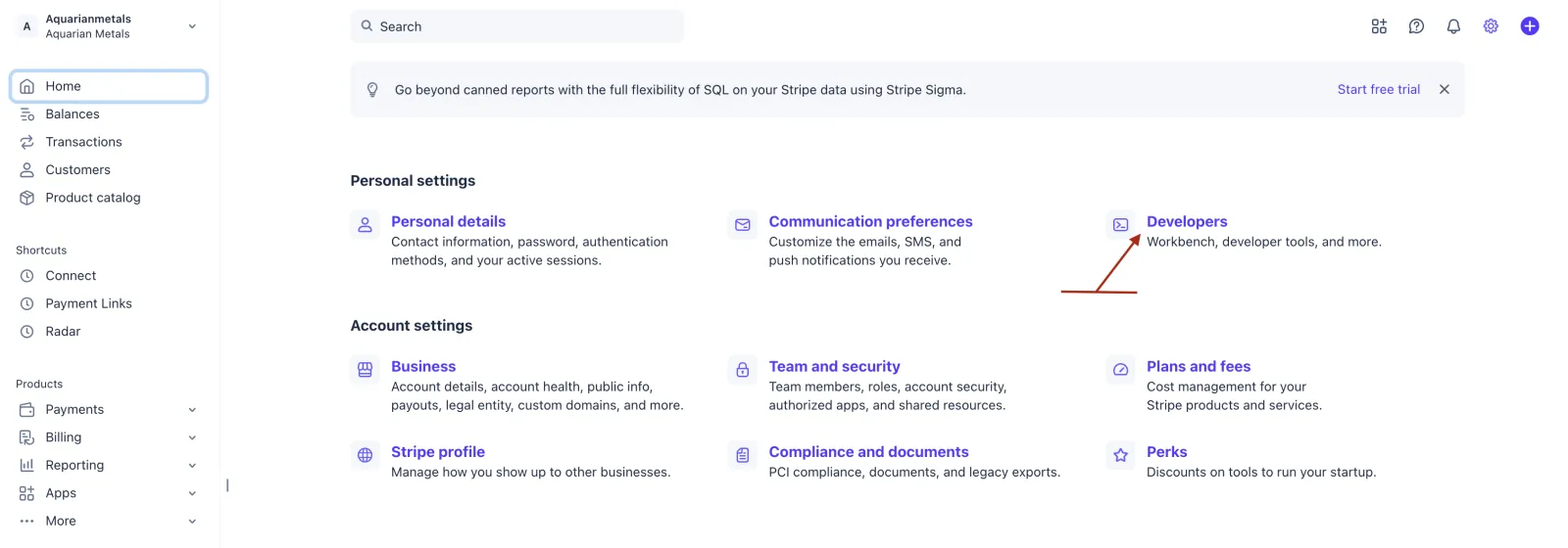 Stripe Settings page with the Developers link highlighted under Personal settings