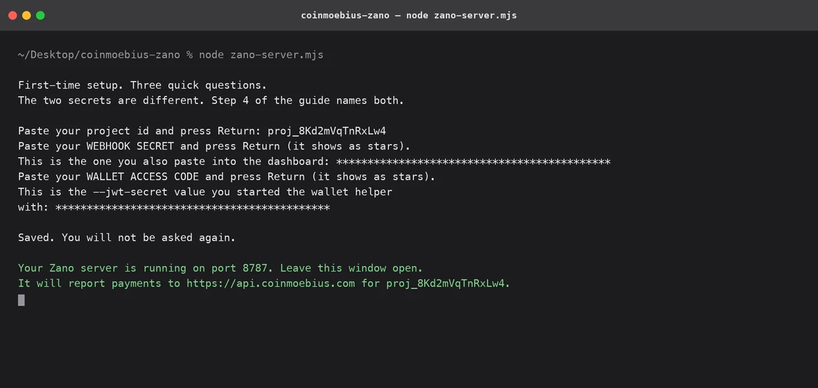 Terminal showing the server asking its three questions, then running
